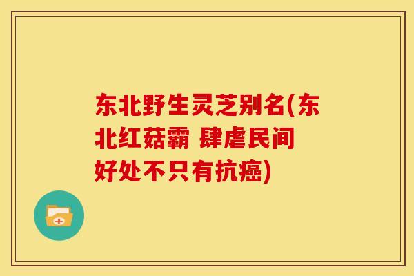东北野生灵芝别名(东北红菇霸 肆虐民间 好处不只有抗癌)
