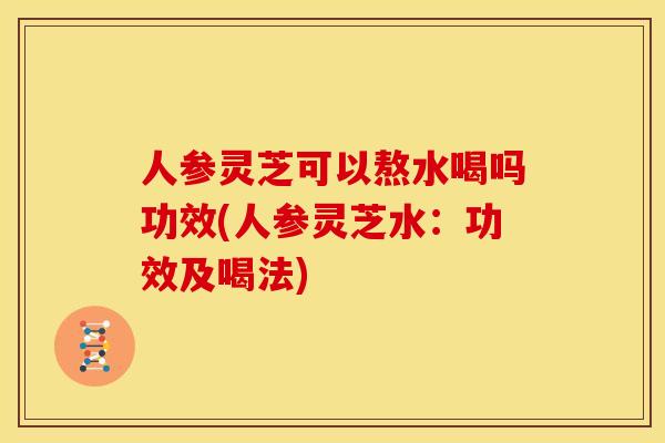 人参灵芝可以熬水喝吗功效(人参灵芝水:功效及喝法)