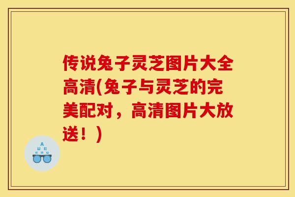 传说兔子灵芝图片大全高清(兔子与灵芝的完美配对,高清图片大放送!)