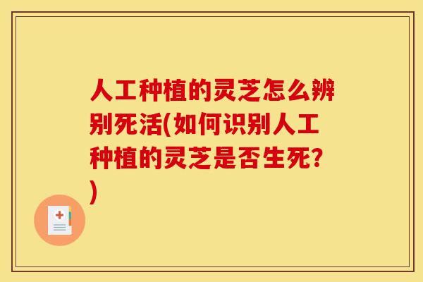人工种植的灵芝怎么辨别死活(如何识别人工种植的灵芝是否生死?)