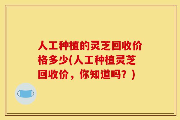 人工种植的灵芝回收价格多少(人工种植灵芝回收价,你知道吗?)