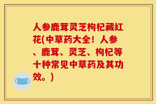 人参鹿茸灵芝枸杞藏红花(中草药大全!人参、鹿茸、灵芝、枸杞等十种常见中草药及其功效。)