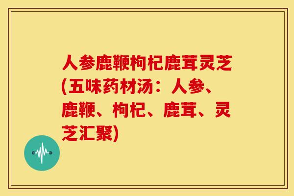 人参鹿鞭枸杞鹿茸灵芝(五味药材汤:人参、鹿鞭、枸杞、鹿茸、灵芝汇聚)