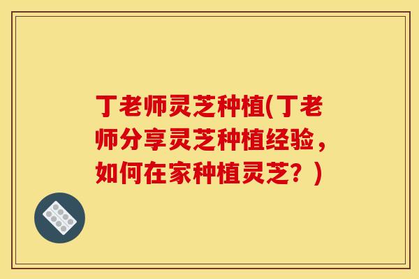 丁老师灵芝种植(丁老师分享灵芝种植经验,如何在家种植灵芝?)