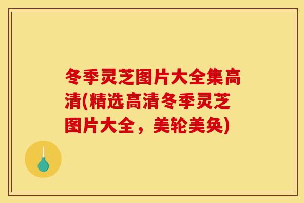 冬季灵芝图片大全集高清(精选高清冬季灵芝图片大全，美轮美奂)