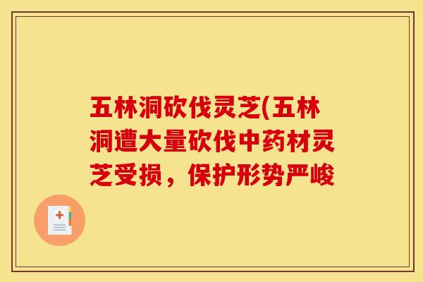 五林洞砍伐灵芝(五林洞遭大量砍伐中药材灵芝受损,保护形势严峻