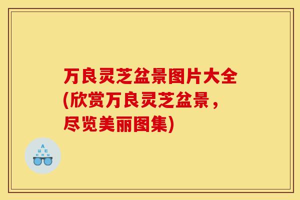 万良灵芝盆景图片大全(欣赏万良灵芝盆景,尽览美丽图集)