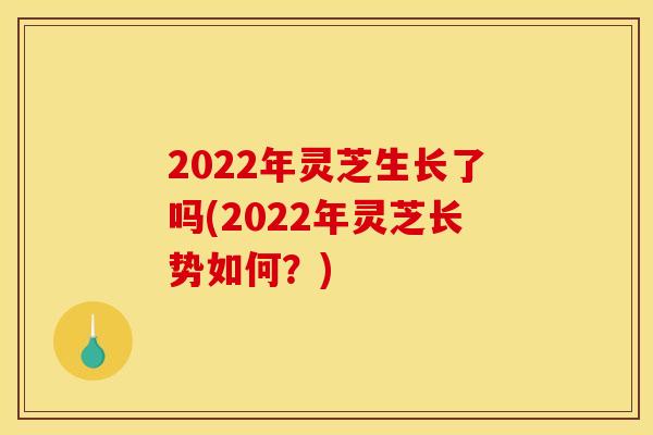 2022年灵芝生长了吗(2022年灵芝长势如何？)