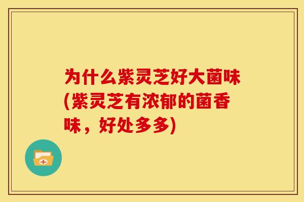 为什么紫灵芝好大菌味(紫灵芝有浓郁的菌香味，好处多多)