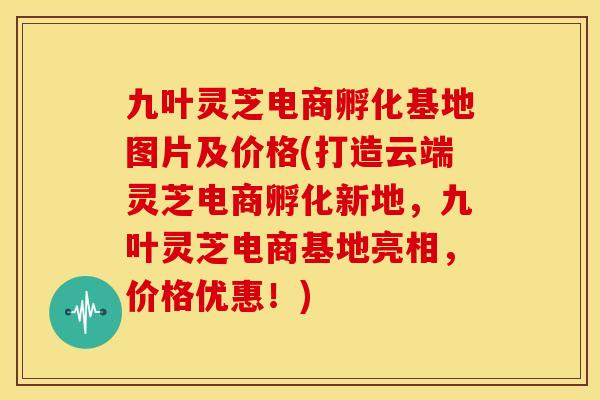 九叶灵芝电商孵化基地图片及价格(打造云端灵芝电商孵化新地,九叶灵芝电商基地亮相,价格优惠!)
