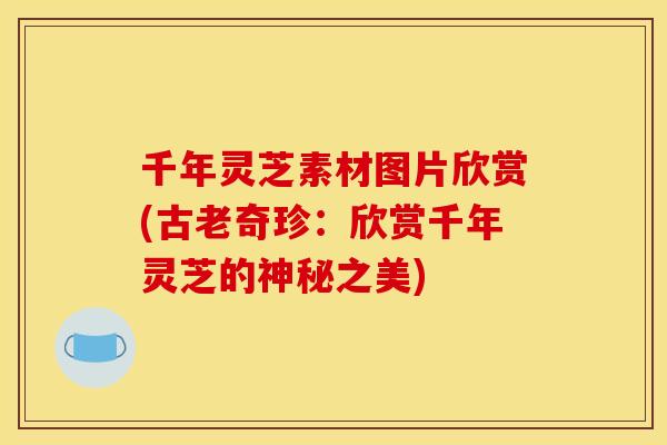 千年灵芝素材图片欣赏(古老奇珍:欣赏千年灵芝的神秘之美)