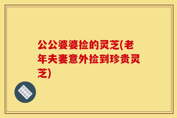 公公婆婆捡的灵芝(老年夫妻意外捡到珍贵灵芝)