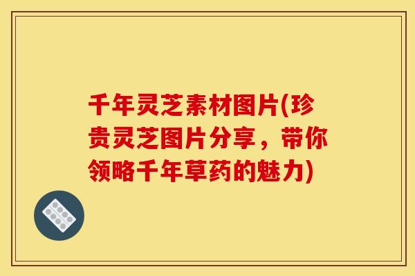 千年灵芝素材图片(珍贵灵芝图片分享，带你领略千年草药的魅力)
