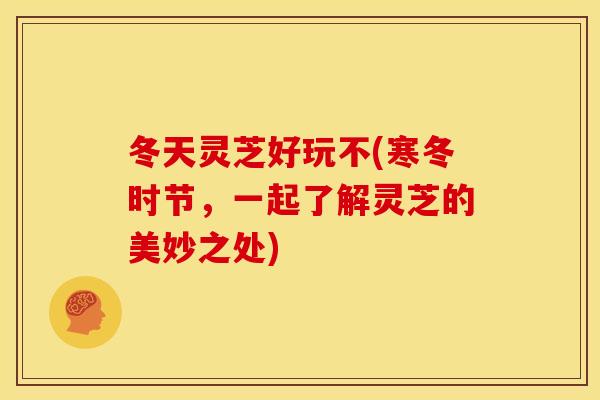 冬天灵芝好玩不(寒冬时节，一起了解灵芝的美妙之处)