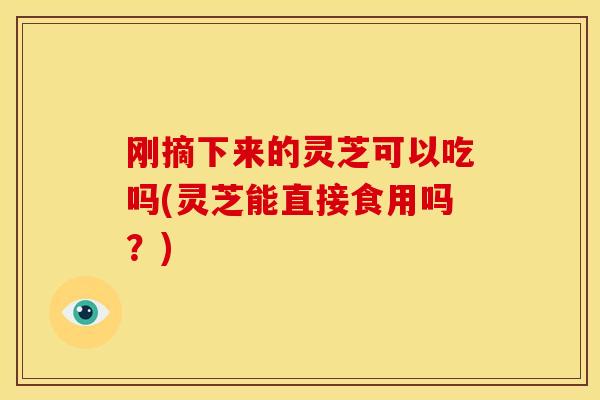 刚摘下来的灵芝可以吃吗(灵芝能直接食用吗?)