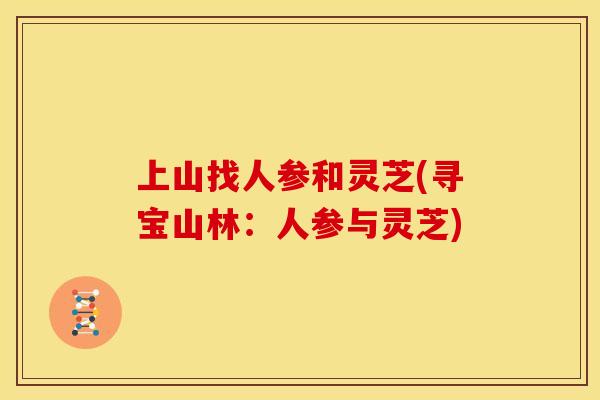 上山找人参和灵芝(寻宝山林:人参与灵芝)