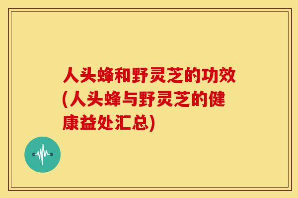 人头蜂和野灵芝的功效(人头蜂与野灵芝的健康益处汇总)
