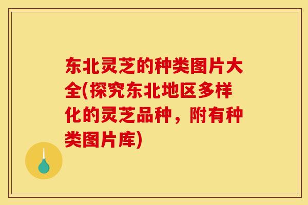 东北灵芝的种类图片大全(探究东北地区多样化的灵芝品种,附有种类图片库)