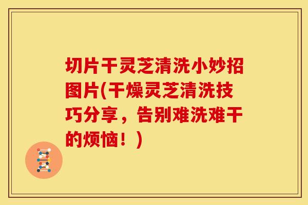 切片干灵芝清洗小妙招图片(干燥灵芝清洗技巧分享，告别难洗难干的烦恼！)