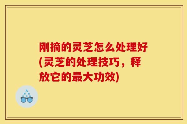 刚摘的灵芝怎么处理好(灵芝的处理技巧,释放它的最大功效)