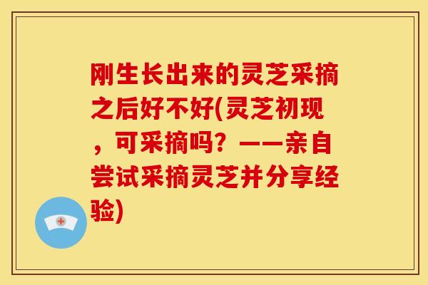 刚生长出来的灵芝采摘之后好不好(灵芝初现,可采摘吗?——亲自尝试采摘灵芝并分享经验)