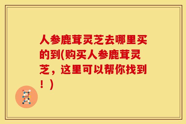 人参鹿茸灵芝去哪里买的到(购买人参鹿茸灵芝,这里可以帮你找到!)
