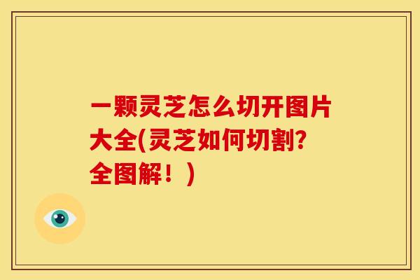 一颗灵芝怎么切开图片大全(灵芝如何切割?全图解!)