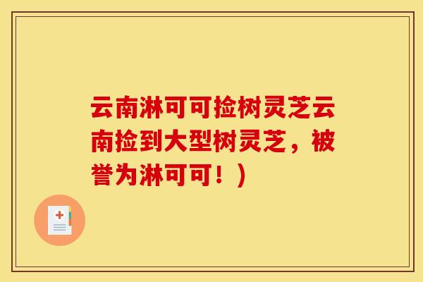 云南淋可可捡树灵芝云南捡到大型树灵芝,被誉为淋可可!)