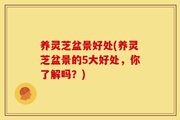 养灵芝盆景好处(养灵芝盆景的5大好处，你了解吗？)
