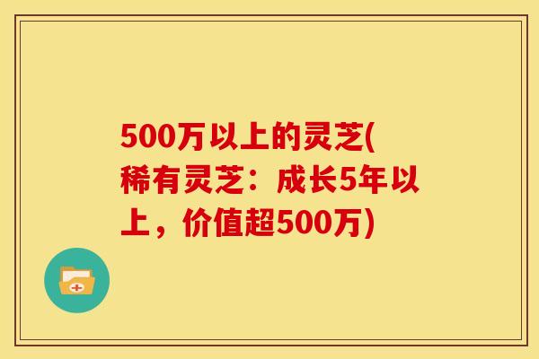 500万以上的灵芝(稀有灵芝:成长5年以上,价值超500万)