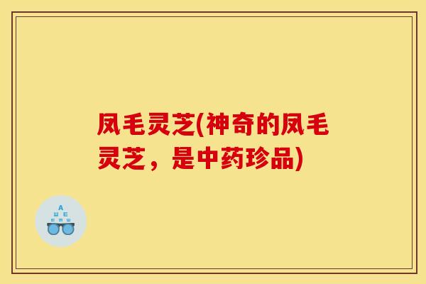 凤毛灵芝(神奇的凤毛灵芝,是中药珍品)