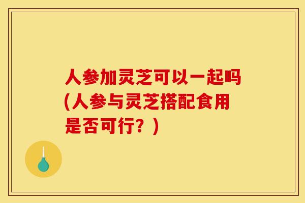 人参加灵芝可以一起吗(人参与灵芝搭配食用是否可行?)