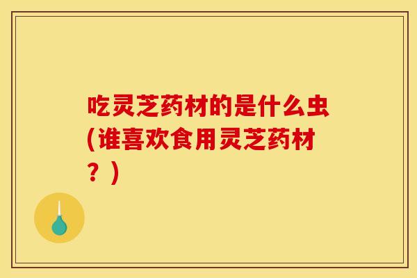 吃灵芝药材的是什么虫(谁喜欢食用灵芝药材?)