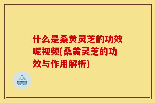 什么是桑黄灵芝的功效呢视频(桑黄灵芝的功效与作用解析)