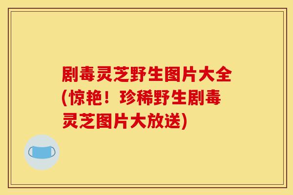 剧毒灵芝野生图片大全(惊艳!珍稀野生剧毒灵芝图片大放送)