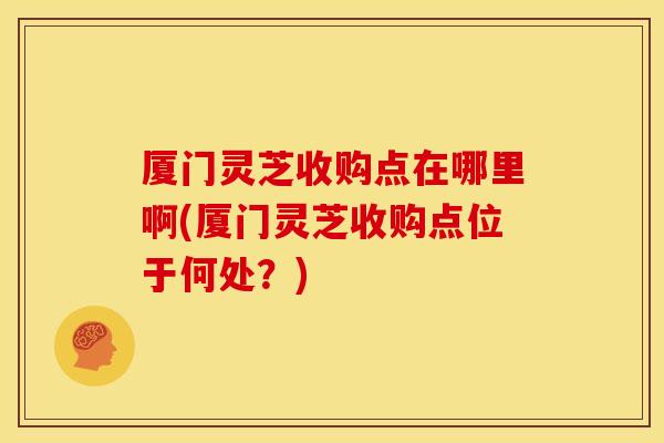 厦门灵芝收购点在哪里啊(厦门灵芝收购点位于何处?)