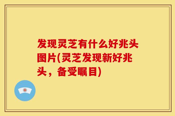 发现灵芝有什么好兆头图片(灵芝发现新好兆头,备受瞩目)