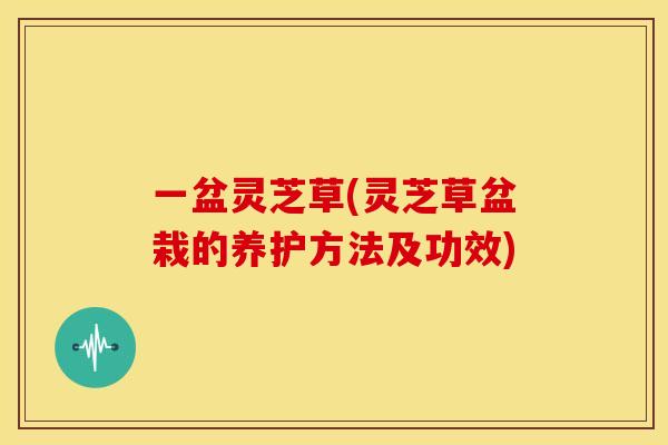 一盆灵芝草(灵芝草盆栽的养护方法及功效)
