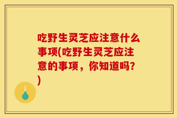 吃野生灵芝应注意什么事项(吃野生灵芝应注意的事项，你知道吗？)