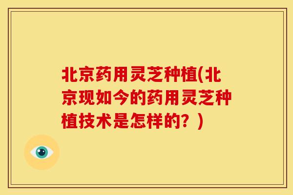 北京药用灵芝种植(北京现如今的药用灵芝种植技术是怎样的?)
