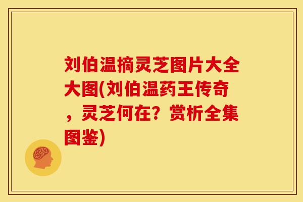 刘伯温摘灵芝图片大全大图(刘伯温药王传奇,灵芝何在?赏析全集图鉴)