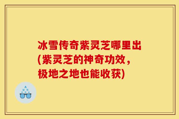 冰雪传奇紫灵芝哪里出(紫灵芝的神奇功效,极地之地也能收获)