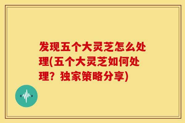 发现五个大灵芝怎么处理(五个大灵芝如何处理?独家策略分享)