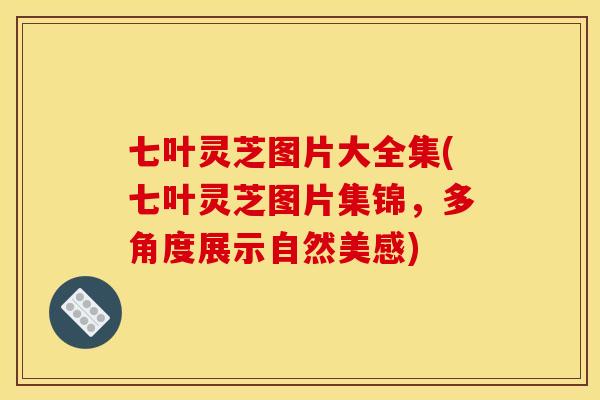 七叶灵芝图片大全集(七叶灵芝图片集锦,多角度展示自然美感)