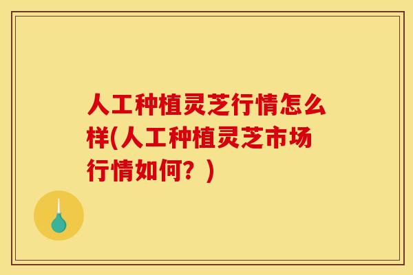 人工种植灵芝行情怎么样(人工种植灵芝市场行情如何?)