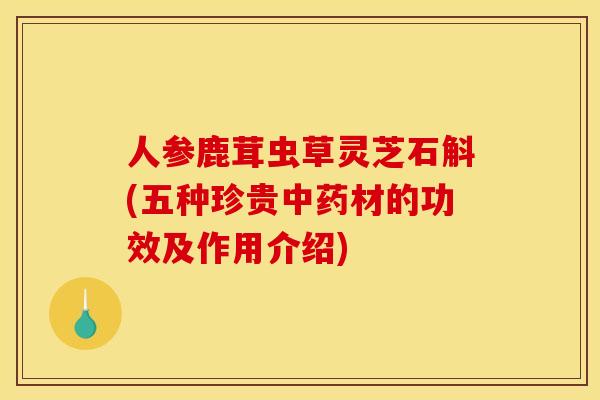 人参鹿茸虫草灵芝石斛(五种珍贵中药材的功效及作用介绍)
