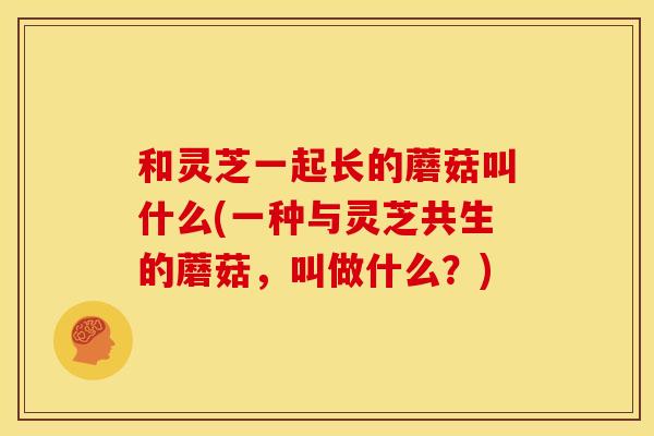 和灵芝一起长的蘑菇叫什么(一种与灵芝共生的蘑菇,叫做什么?)