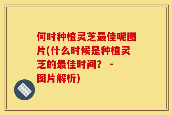 何时种植灵芝最佳呢图片(什么时候是种植灵芝的最佳时间? - 图片解析)