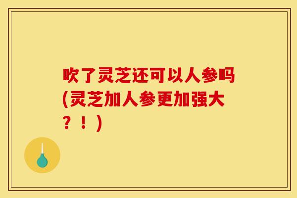 吹了灵芝还可以人参吗(灵芝加人参更加强大?!)