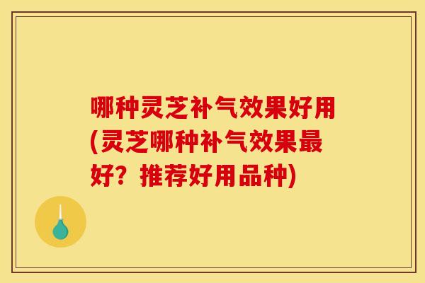 哪种灵芝补气效果好用(灵芝哪种补气效果最好？推荐好用品种)